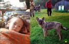 Dankzij haar hond wist ze 11 dagen te overleven in het bos: dit waargebeurde verhaal kan met recht een wonder worden genoemd
