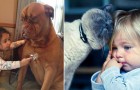 25 photos qui peuvent convaincre les parents avec des enfants en bas âge d'adopter un animal de compagnie