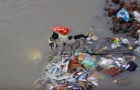 Ils voient un chien s'aventurer dans un fleuve: ce qu'il fait va vous émouvoir
