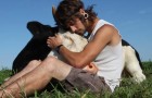 Un ragazzo è seduto vicino a una mucca: il loro rapporto è oltre ogni aspettativa