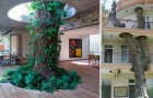 18 case geniali che sono state realizzate salvando la vita degli alberi