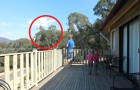 La maman filme le papa et ses filles sur le balcon. Quelque chose de FABULEUX va arriver