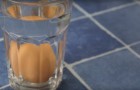 Put an egg in a glass of water...if you experience what happens in the video, do not eat it! :(