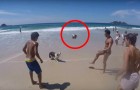 Ze spelen met een bal op het strand... maar wanneer is de hond aan de beurt? Wow! 