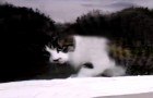 Brevbäraren hittar katten på fönsterbräden: det som händer varje dag är JÄTTEROLIGT