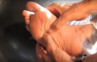 Video Salute