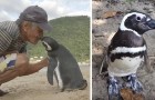 Video di Pinguini