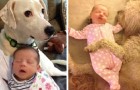 Queste foto dimostrano che ogni neonato dovrebbe crescere insieme ad un cane