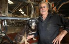 Se ne va il cane più vecchio del mondo: 30 anni di vita spensierata in fattoria