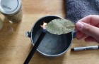 Voici les avantages de brûler des feuilles de laurier. À essayer pour le croire!
