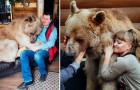 Una coppia adotta un cucciolo di orso: ecco come vive 23 anni dopo