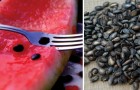 Do NOT throw away your watermelon seeds!