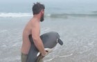 Non perderti l'affascinante salvataggio di questo bellissimo delfino spiaggiato