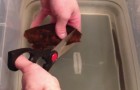 A man cuts a strange object --- what happens next is totally unexpected!