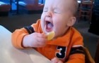 Babies taste lemon for the first time !