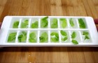 Put mint in an ice cube tray --- the quick way to prepare a famous cocktail at home! 
