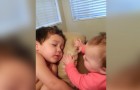 Dit meisje probeert haar grote broer wakker te maken: de manier waarop ze dit doet is te zoet!