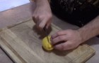 Ecco come far nascere un albero di limone partendo da un frutto