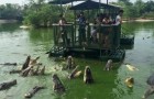 Turisti sorridenti circondati da coccodrilli affamati: ecco le immagini che hanno scosso migliaia di persone