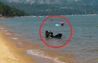 Bathers at a Lake Tahoe beach see something they will never forget! 
