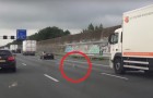 Mentre viaggia in autostrada nota un piccione tra le auto: non crederete a ciò che sta facendo!