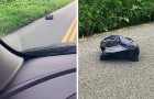 Nota una bolsa que SE MUEVE sobre el asfalto: cuando la abre tiene la mas desconcertante sorpresa