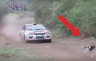 Video Rallye-Videos Rallye