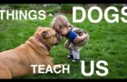 Video Bewegende Videos Bewegend