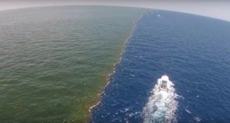 Spectacular! --- When a river flows into a gulf ...