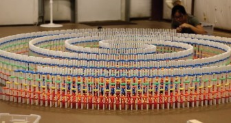 25 Stunden um 15.000 Steine aufzustellen: genießt diesen Domino-Rekord