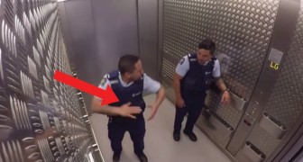 Los agentes de la policia suben en el ascensor: el viaje hacia la Planta Baja les reserva una sorpresa