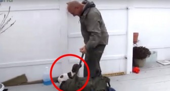 Een soldaat keert terug van de missie... het welkom van zijn hond is onbeschrijfelijk