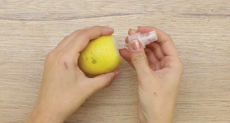 Crea este simple limon spray y da un toque divertido a tu mesa!