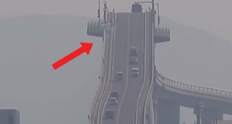 Deze brug is duizelingwekkend steil!