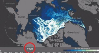Watch 25 years of Arctic ice disappear in a minute ...