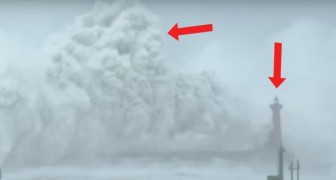 Tyfoon versus vuurtoren: dit moeten haast wel de hoogste golven zien die je ooit hebt gezien!