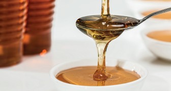 Wie man rausfindet, ob der Honig pur oder gepanscht ist: 3 einfache Tests