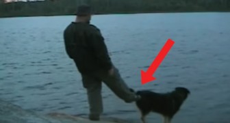 Il essaie de pousser le chien dans l'eau pendant qu'il pêche: la chose ne va pas se finir comme prévu!