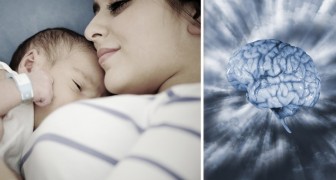 Zwangerschap Zorgt Voor Verandering In Vrouwelijke Hersenen Die Twee Jaar Duurt. Dit Gebeurt Er