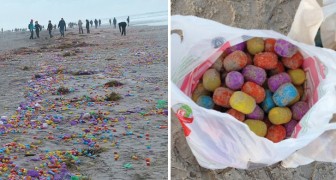 Un typhon renverse un cargo : une île entière est recouverte d’œufs en plastique