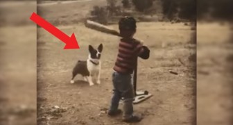 El niño lanza y el perro recupera: entrenarse no ha sido nunca tan divertido y...Facil!