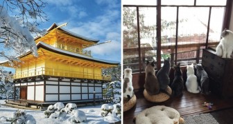 Una nevicata senza precedenti ricopre l'antica capitale del Giappone: ecco Kyoto in vesti eccezionali