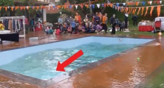 Er vindt een aardbeving plaats tijdens een picknick: kijk wat er gebeurt met hem zwembad