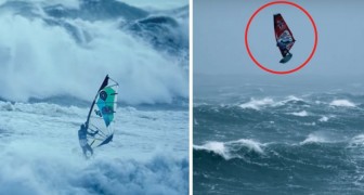 Windsurf en condiciones EXTREMAS: los participantes llegan a alturas impresionantes