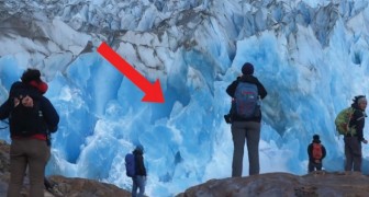 Watch a part of an enormous glacier collapse! Epic!