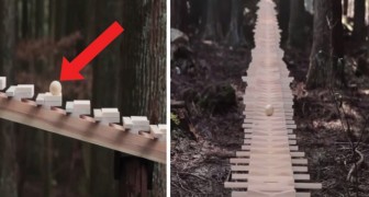 Experience this mesmerizing xylophone in the forest ...
