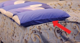 Discover how to make your own pillow bed! A fantastic idea!