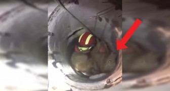 Deze hond is in een put gevallen: na zijn redding bedankt hij de brandweerman op passende wijze!