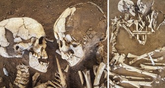 Dit skelettenstel heeft elkaar al ruim zesduizend jaar in de armen gesloten en is een echt voorbeeld van eeuwige liefde