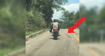 Der Motorradfahrer fährt unbekümmert, aber eine lästige Schlange erschreckt ihn 